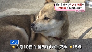 マリ